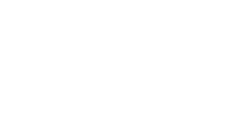 2025MSI